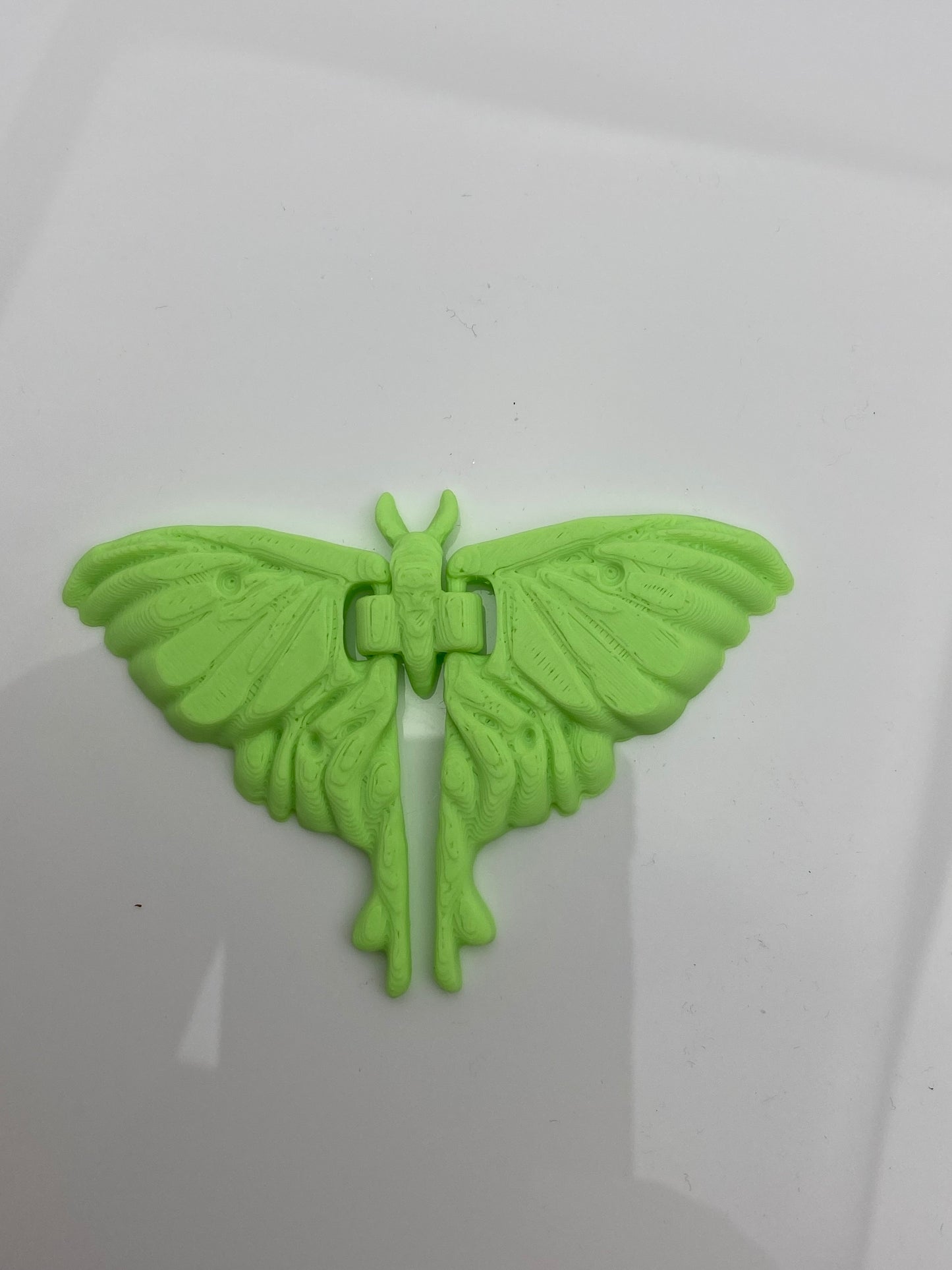 Luna Moth - Micro Creature