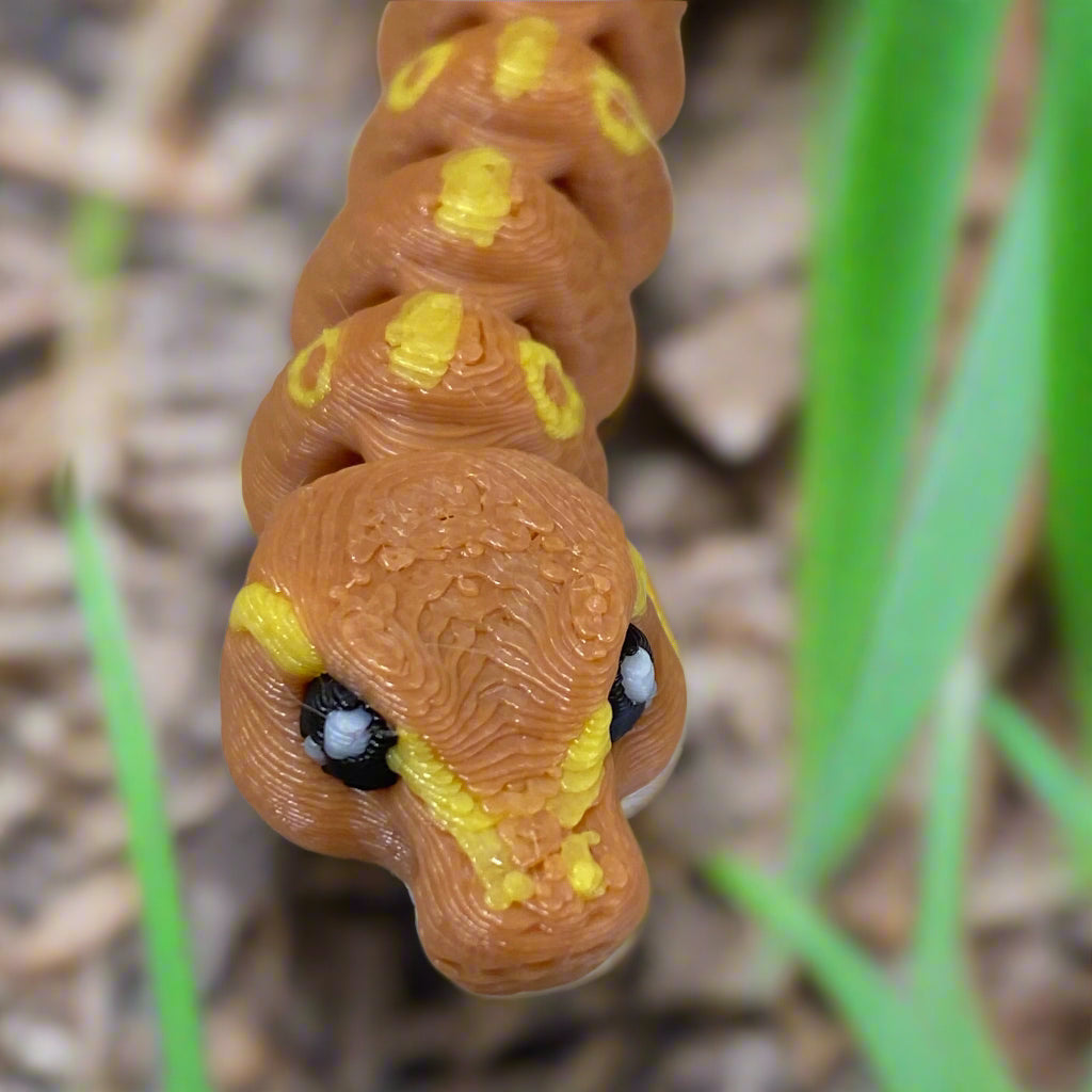 Ball Python - Micro Creature